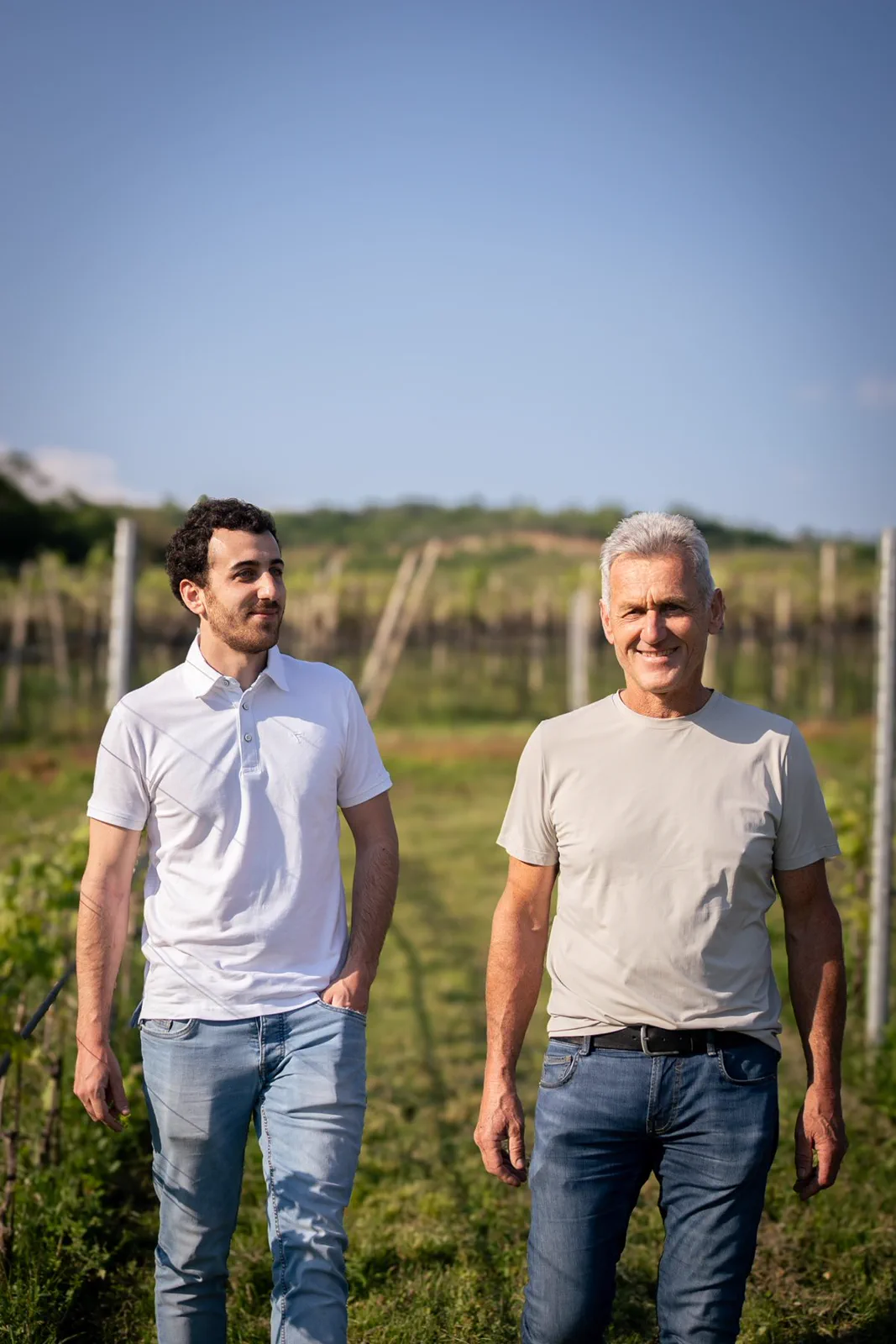 Walking among the Garganega vines