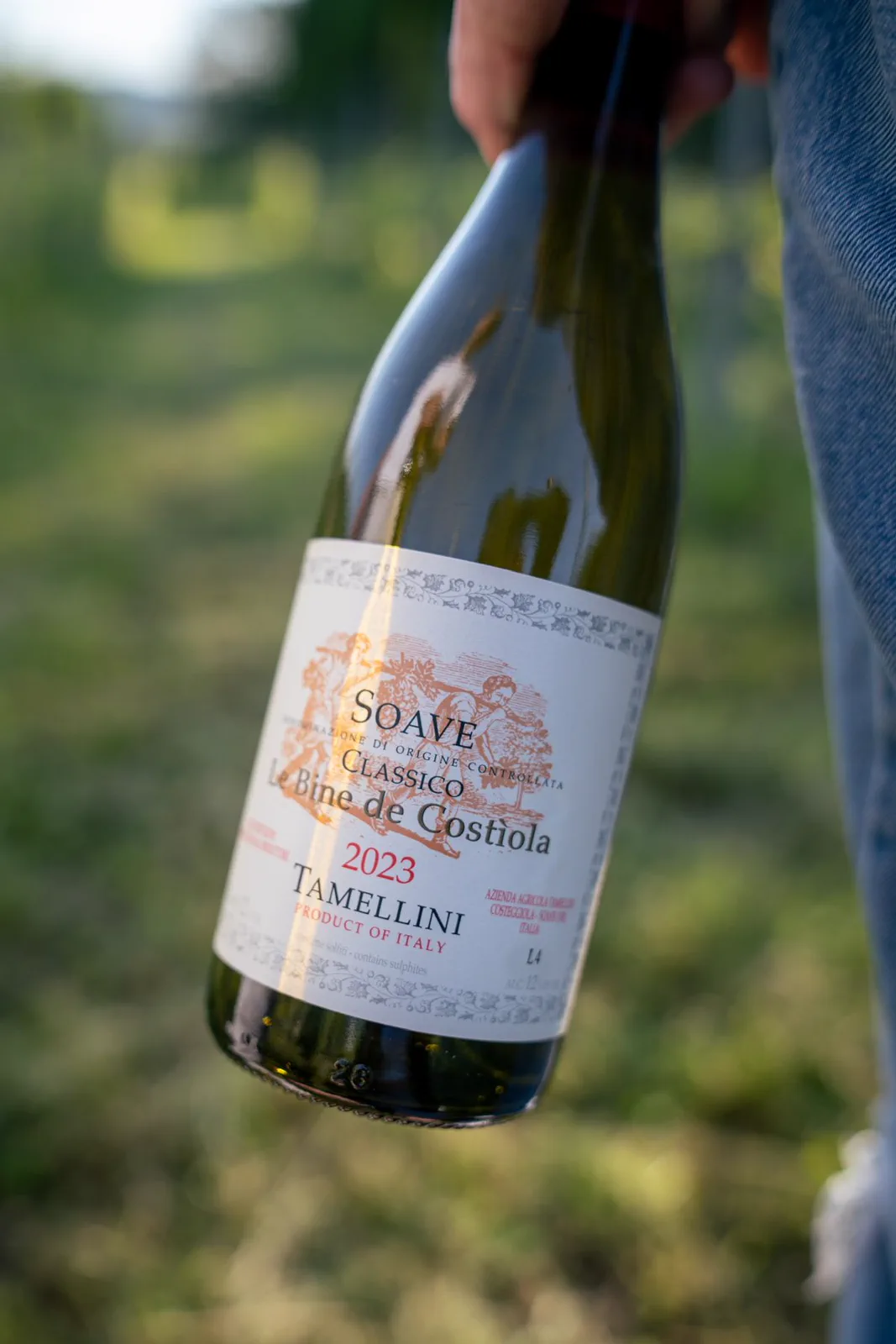 Bottle of Soave Classico Le Bine de Costiola held among the vines